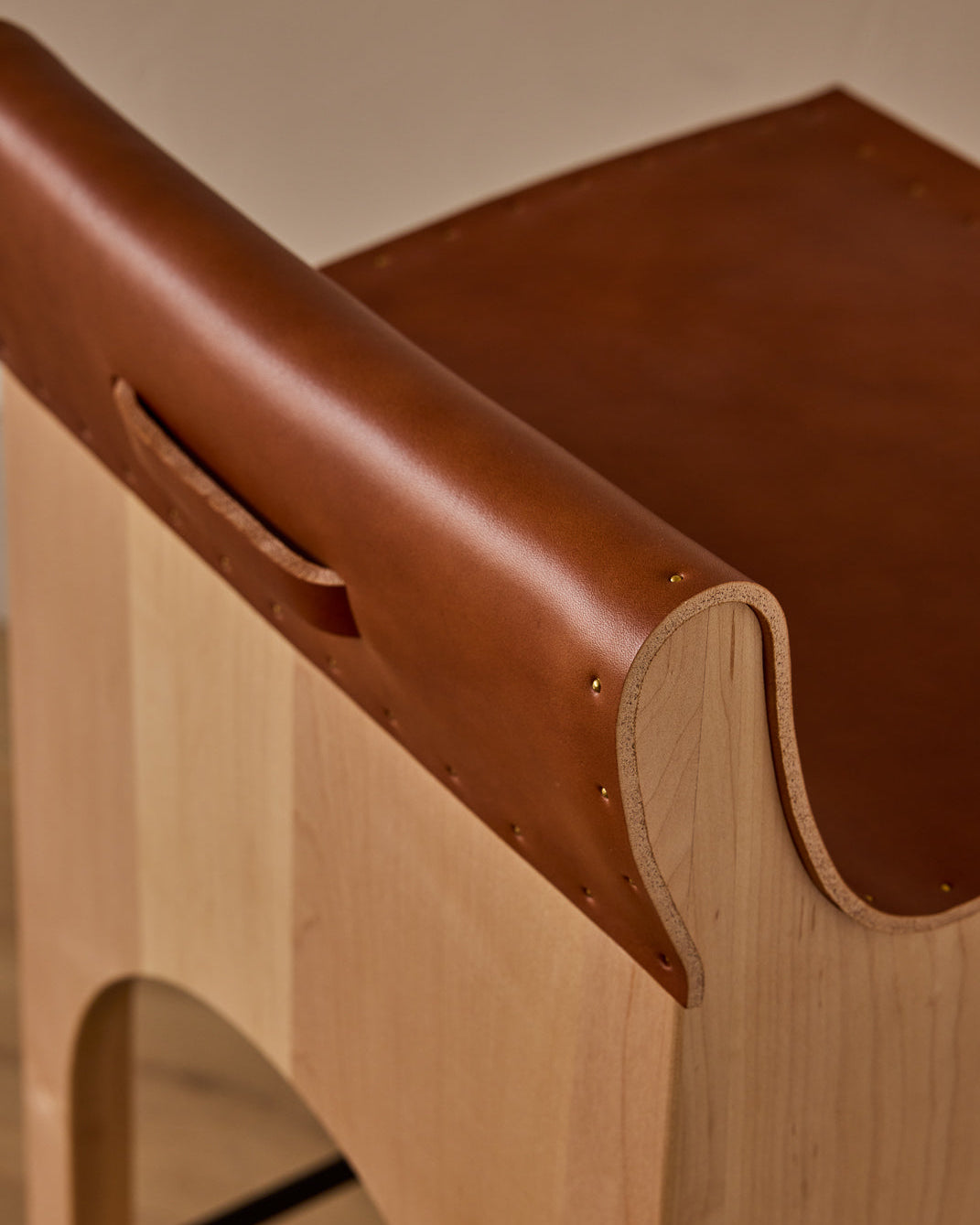 #leather-finish_tan harness