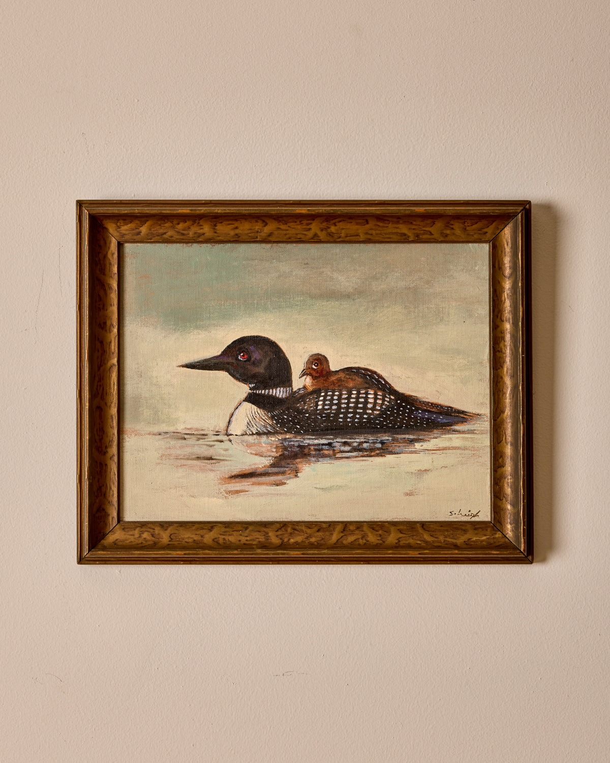 "Momma Loon"