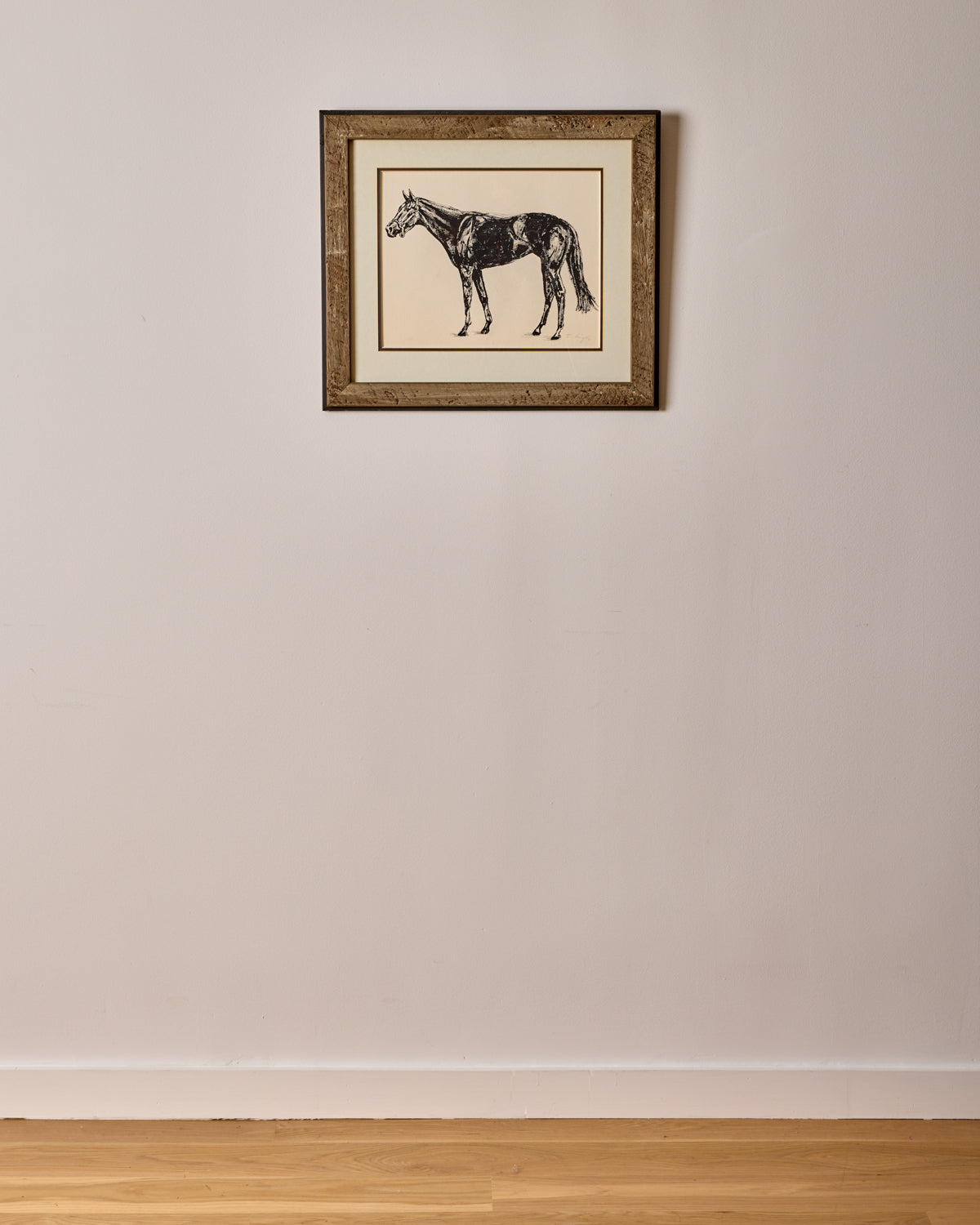 "Black Beauty"