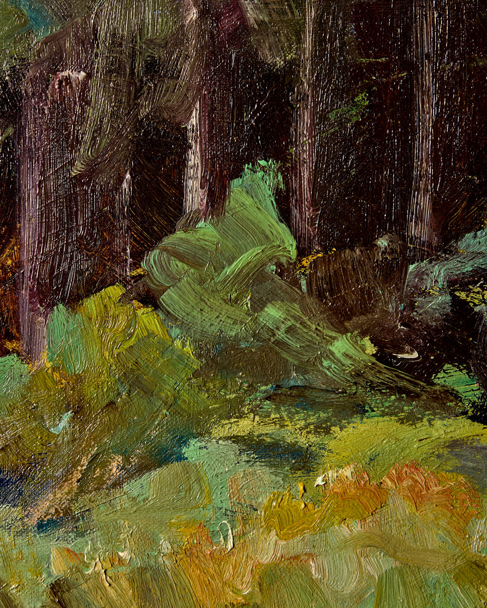Forest Edge