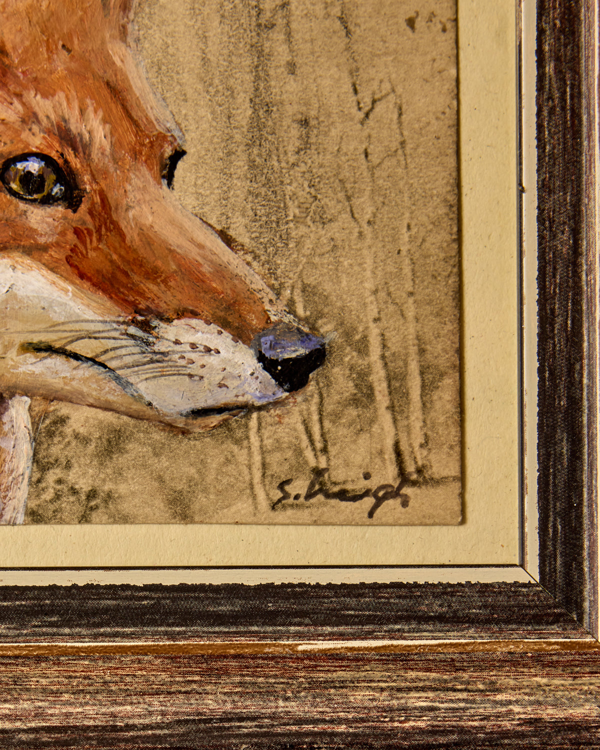 "Fox Woods"