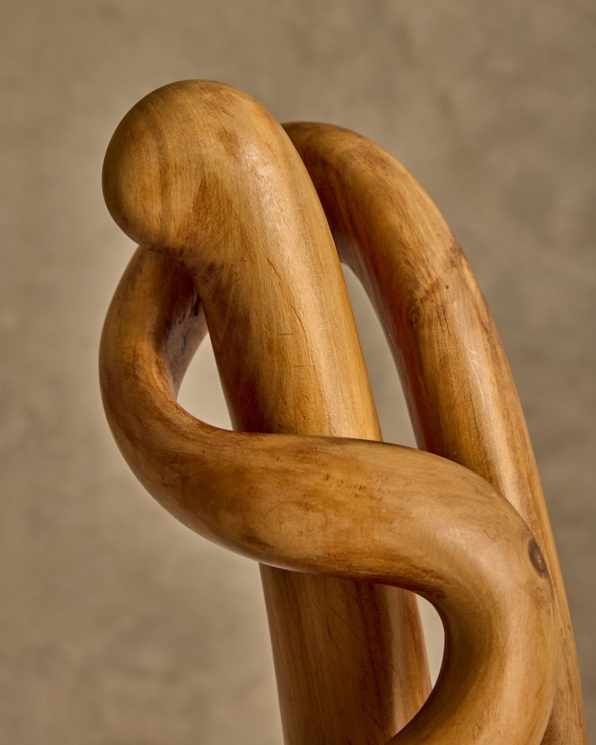 Organic Wooden Sculpture