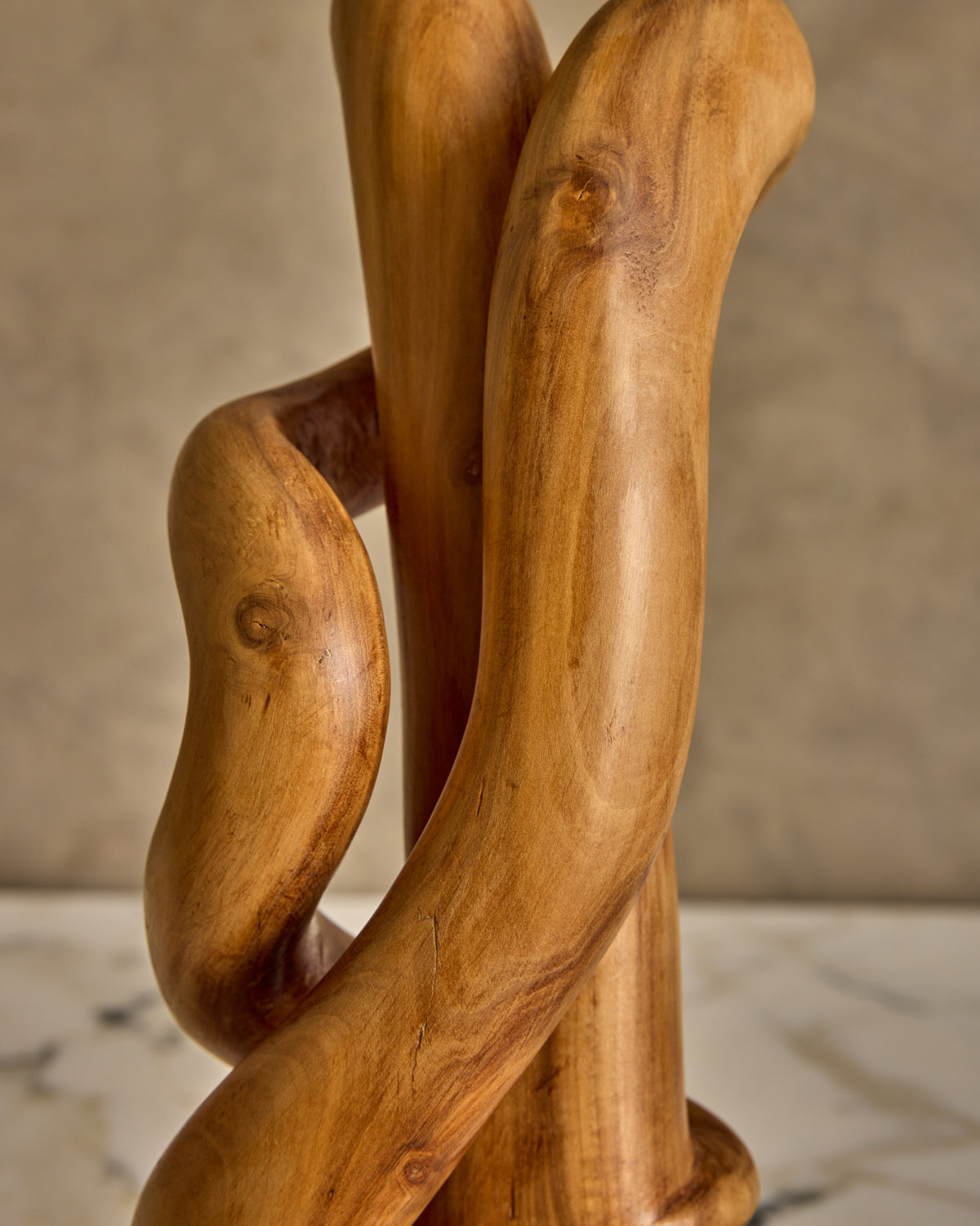 Organic Wooden Sculpture