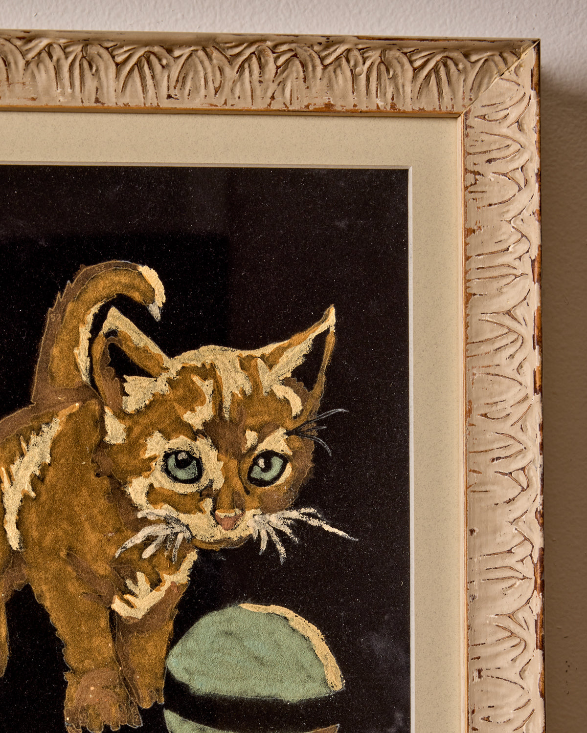 Kitten on Black Velvet