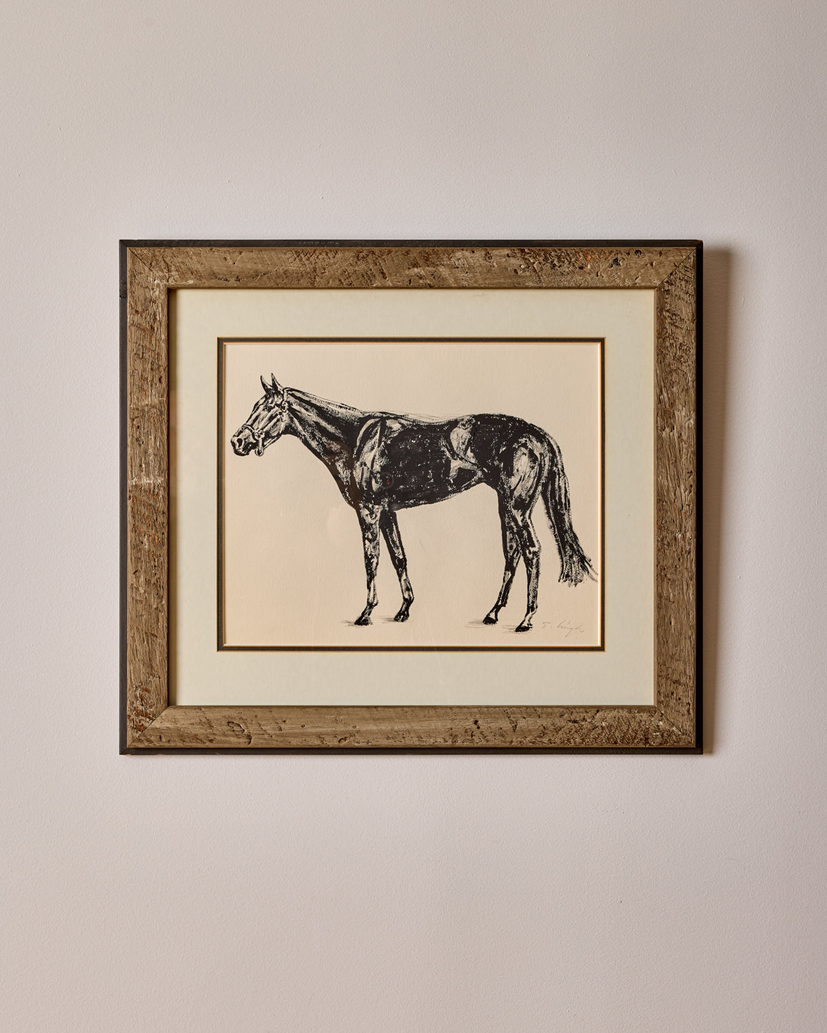 "Black Beauty"