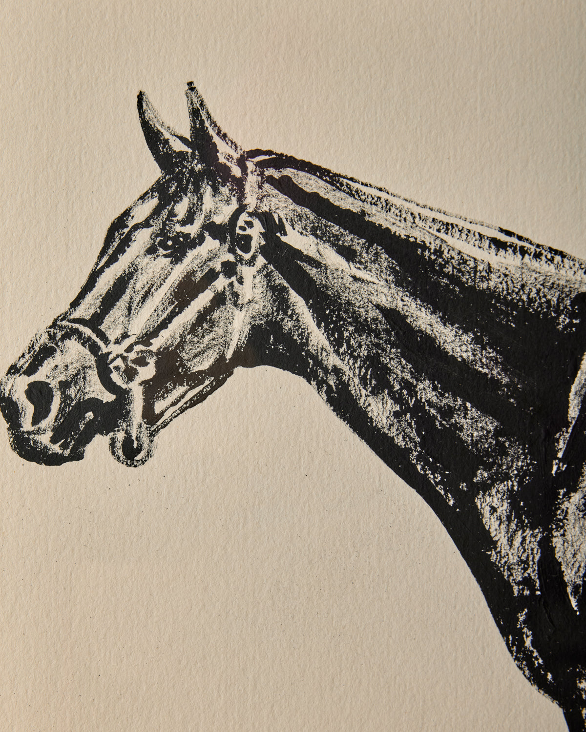 "Black Beauty"