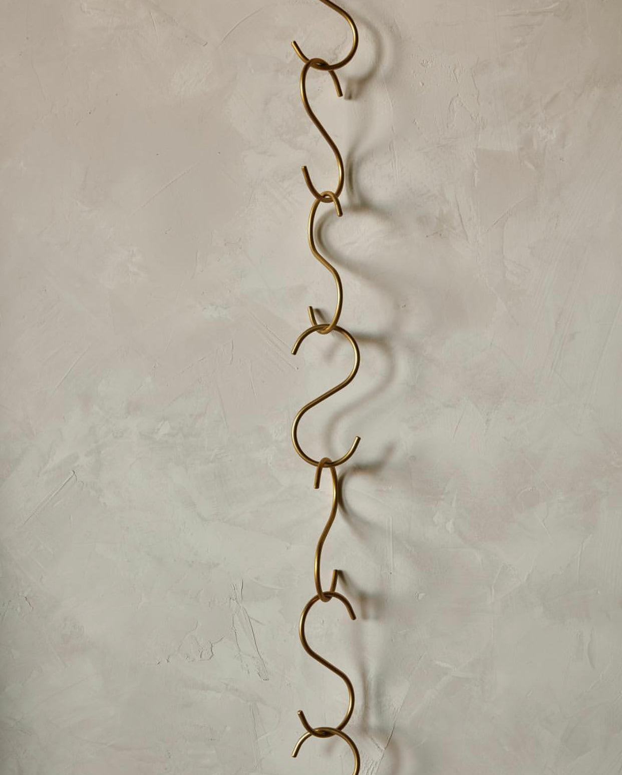 Carter S Hooks